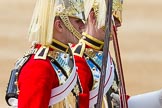The Colonel's Review 2015.
Horse Guards Parade, Westminster,
London,

United Kingdom,
on 06 June 2015 at 10:58, image #173