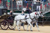 The Colonel's Review 2015.
Horse Guards Parade, Westminster,
London,

United Kingdom,
on 06 June 2015 at 10:58, image #179