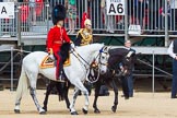 The Colonel's Review 2015.
Horse Guards Parade, Westminster,
London,

United Kingdom,
on 06 June 2015 at 10:59, image #181