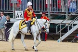 The Colonel's Review 2015.
Horse Guards Parade, Westminster,
London,

United Kingdom,
on 06 June 2015 at 10:59, image #182