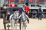 The Colonel's Review 2015.
Horse Guards Parade, Westminster,
London,

United Kingdom,
on 06 June 2015 at 10:59, image #186