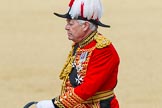 The Colonel's Review 2015.
Horse Guards Parade, Westminster,
London,

United Kingdom,
on 06 June 2015 at 11:00, image #196