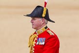 The Colonel's Review 2015.
Horse Guards Parade, Westminster,
London,

United Kingdom,
on 06 June 2015 at 11:00, image #197