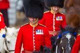 The Colonel's Review 2015.
Horse Guards Parade, Westminster,
London,

United Kingdom,
on 06 June 2015 at 11:01, image #204
