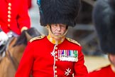 The Colonel's Review 2015.
Horse Guards Parade, Westminster,
London,

United Kingdom,
on 06 June 2015 at 11:01, image #205
