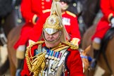 The Colonel's Review 2015.
Horse Guards Parade, Westminster,
London,

United Kingdom,
on 06 June 2015 at 11:01, image #206