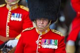 The Colonel's Review 2015.
Horse Guards Parade, Westminster,
London,

United Kingdom,
on 06 June 2015 at 11:01, image #208
