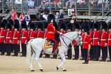 The Colonel's Review 2015.
Horse Guards Parade, Westminster,
London,

United Kingdom,
on 06 June 2015 at 11:02, image #214