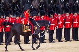 The Colonel's Review 2015.
Horse Guards Parade, Westminster,
London,

United Kingdom,
on 06 June 2015 at 11:02, image #219