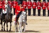 The Colonel's Review 2015.
Horse Guards Parade, Westminster,
London,

United Kingdom,
on 06 June 2015 at 11:04, image #225
