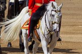 The Colonel's Review 2015.
Horse Guards Parade, Westminster,
London,

United Kingdom,
on 06 June 2015 at 11:04, image #226