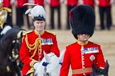 The Colonel's Review 2015.
Horse Guards Parade, Westminster,
London,

United Kingdom,
on 06 June 2015 at 11:05, image #236