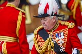 The Colonel's Review 2015.
Horse Guards Parade, Westminster,
London,

United Kingdom,
on 06 June 2015 at 11:06, image #239