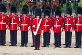 The Colonel's Review 2015.
Horse Guards Parade, Westminster,
London,

United Kingdom,
on 06 June 2015 at 11:07, image #241