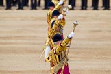 The Colonel's Review 2015.
Horse Guards Parade, Westminster,
London,

United Kingdom,
on 06 June 2015 at 11:08, image #248