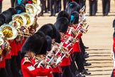 The Colonel's Review 2015.
Horse Guards Parade, Westminster,
London,

United Kingdom,
on 06 June 2015 at 11:08, image #251