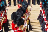 The Colonel's Review 2015.
Horse Guards Parade, Westminster,
London,

United Kingdom,
on 06 June 2015 at 11:08, image #257