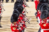 The Colonel's Review 2015.
Horse Guards Parade, Westminster,
London,

United Kingdom,
on 06 June 2015 at 11:08, image #259