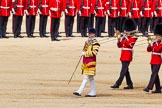The Colonel's Review 2015.
Horse Guards Parade, Westminster,
London,

United Kingdom,
on 06 June 2015 at 11:09, image #264