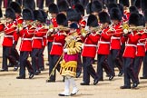 The Colonel's Review 2015.
Horse Guards Parade, Westminster,
London,

United Kingdom,
on 06 June 2015 at 11:09, image #266