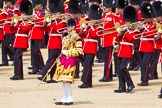 The Colonel's Review 2015.
Horse Guards Parade, Westminster,
London,

United Kingdom,
on 06 June 2015 at 11:10, image #267