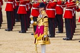 The Colonel's Review 2015.
Horse Guards Parade, Westminster,
London,

United Kingdom,
on 06 June 2015 at 11:10, image #272