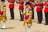 The Colonel's Review 2015.
Horse Guards Parade, Westminster,
London,

United Kingdom,
on 06 June 2015 at 11:10, image #273