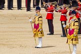 The Colonel's Review 2015.
Horse Guards Parade, Westminster,
London,

United Kingdom,
on 06 June 2015 at 11:10, image #274