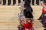 The Colonel's Review 2015.
Horse Guards Parade, Westminster,
London,

United Kingdom,
on 06 June 2015 at 11:11, image #278