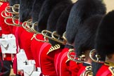 The Colonel's Review 2015.
Horse Guards Parade, Westminster,
London,

United Kingdom,
on 06 June 2015 at 11:13, image #284