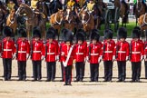 The Colonel's Review 2015.
Horse Guards Parade, Westminster,
London,

United Kingdom,
on 06 June 2015 at 11:13, image #287