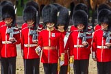 The Colonel's Review 2015.
Horse Guards Parade, Westminster,
London,

United Kingdom,
on 06 June 2015 at 11:15, image #288