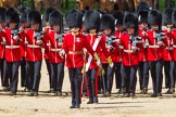 The Colonel's Review 2015.
Horse Guards Parade, Westminster,
London,

United Kingdom,
on 06 June 2015 at 11:16, image #289