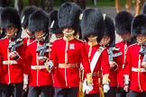 The Colonel's Review 2015.
Horse Guards Parade, Westminster,
London,

United Kingdom,
on 06 June 2015 at 11:16, image #291