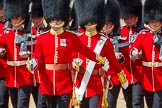 The Colonel's Review 2015.
Horse Guards Parade, Westminster,
London,

United Kingdom,
on 06 June 2015 at 11:16, image #292