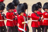 The Colonel's Review 2015.
Horse Guards Parade, Westminster,
London,

United Kingdom,
on 06 June 2015 at 11:16, image #294