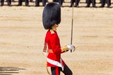 The Colonel's Review 2015.
Horse Guards Parade, Westminster,
London,

United Kingdom,
on 06 June 2015 at 11:16, image #295
