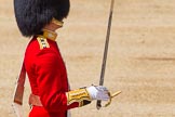 The Colonel's Review 2015.
Horse Guards Parade, Westminster,
London,

United Kingdom,
on 06 June 2015 at 11:17, image #296