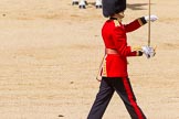 The Colonel's Review 2015.
Horse Guards Parade, Westminster,
London,

United Kingdom,
on 06 June 2015 at 11:17, image #299