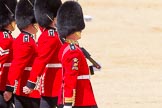 The Colonel's Review 2015.
Horse Guards Parade, Westminster,
London,

United Kingdom,
on 06 June 2015 at 11:17, image #300