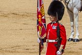 The Colonel's Review 2015.
Horse Guards Parade, Westminster,
London,

United Kingdom,
on 06 June 2015 at 11:18, image #302