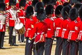 The Colonel's Review 2015.
Horse Guards Parade, Westminster,
London,

United Kingdom,
on 06 June 2015 at 11:18, image #303