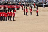 The Colonel's Review 2015.
Horse Guards Parade, Westminster,
London,

United Kingdom,
on 06 June 2015 at 11:19, image #304