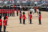 The Colonel's Review 2015.
Horse Guards Parade, Westminster,
London,

United Kingdom,
on 06 June 2015 at 11:19, image #305
