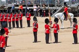 The Colonel's Review 2015.
Horse Guards Parade, Westminster,
London,

United Kingdom,
on 06 June 2015 at 11:19, image #307