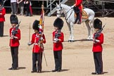 The Colonel's Review 2015.
Horse Guards Parade, Westminster,
London,

United Kingdom,
on 06 June 2015 at 11:20, image #309