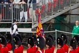The Colonel's Review 2015.
Horse Guards Parade, Westminster,
London,

United Kingdom,
on 06 June 2015 at 11:23, image #323