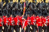 The Colonel's Review 2015.
Horse Guards Parade, Westminster,
London,

United Kingdom,
on 06 June 2015 at 11:24, image #331