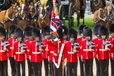 The Colonel's Review 2015.
Horse Guards Parade, Westminster,
London,

United Kingdom,
on 06 June 2015 at 11:26, image #338