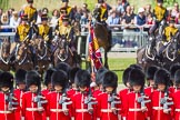 The Colonel's Review 2015.
Horse Guards Parade, Westminster,
London,

United Kingdom,
on 06 June 2015 at 11:27, image #340